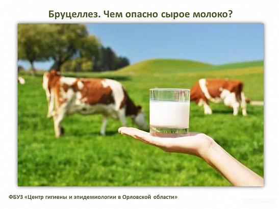 Орловский Роспотребнадзор рассказал, почему опасно сырое молоко 