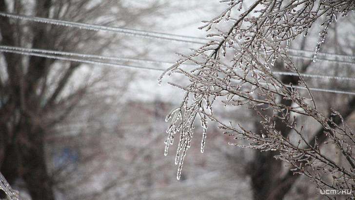 Погодные сюрпризы: вихрь «Белла» принесет на Орловщину ледяной дождь