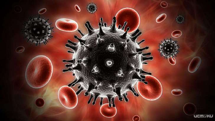 Вcего за неделю на Орловщине пациентов с COVID-19 стало на 23 % больше