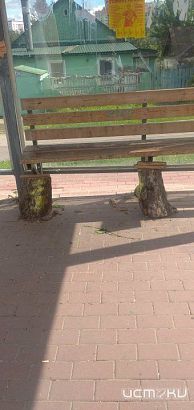 На орловской остановке установили скамейку на пеньках