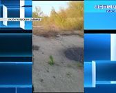 Детективная история с отходами