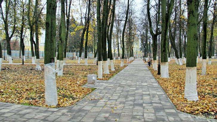 Планы поменялись: сквер перед главным корпусом ОГУ не сдадут раньше срока