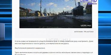 Про собак и про выпиловку деревьев