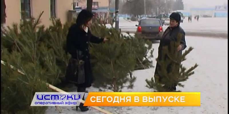 Орловский депутат предложил отправлять бездомных собак в зону СВО, Клычков рассказал о «сквозном инвестиционном потоке», а ёлки к Новому году можно бу...