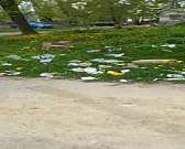 Жители ул. Московской погрязли в антисанитарии из-за бездействия «УК «Зеленая роща»