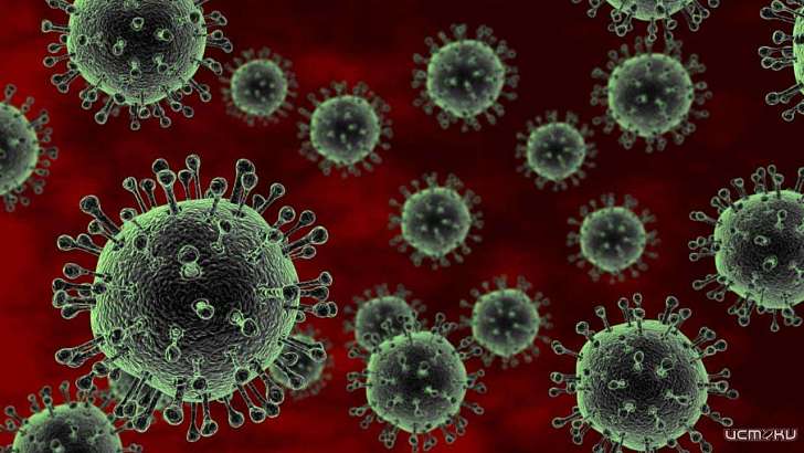 В Орле ищут возбудитель COVID-19 на упаковках продуктов