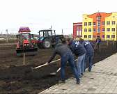 Аллея из лип и каштанов появилась в микрорайоне Зареченский.