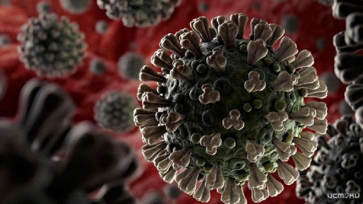 За время пандемии на Орловщине умер уже 191 пациент с коронавирусом