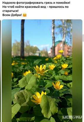 Та-дам! Объявляем победителя в конкурсе "Народный корреспондент" прошлой недели