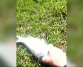 Орловчане пожаловались на два завода, загрязняющих отходами среду