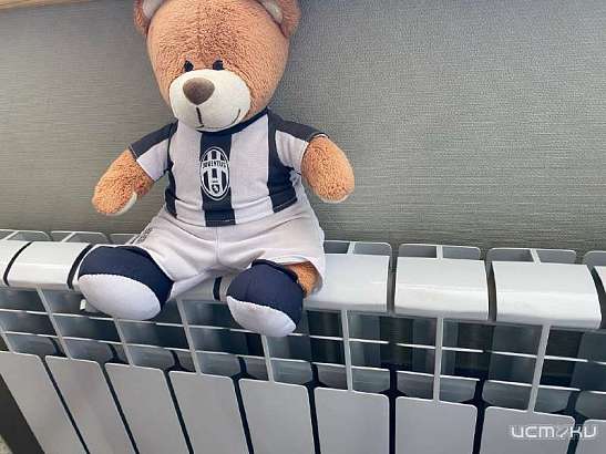 "Друзья, весенняя погода за окном стабилизировалась". Считает мэр Орла