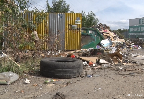 "Были просто потрясены, с какой точностью,два раза в день приезжали мусорные машины во дворы..."