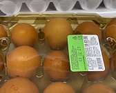 Амчане засняли ползающих по продуктам в "Магните" насекомых