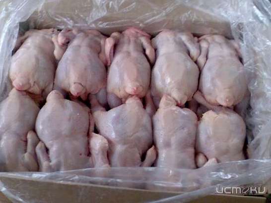 В Орле продавали куриное мясо с антибиотиками