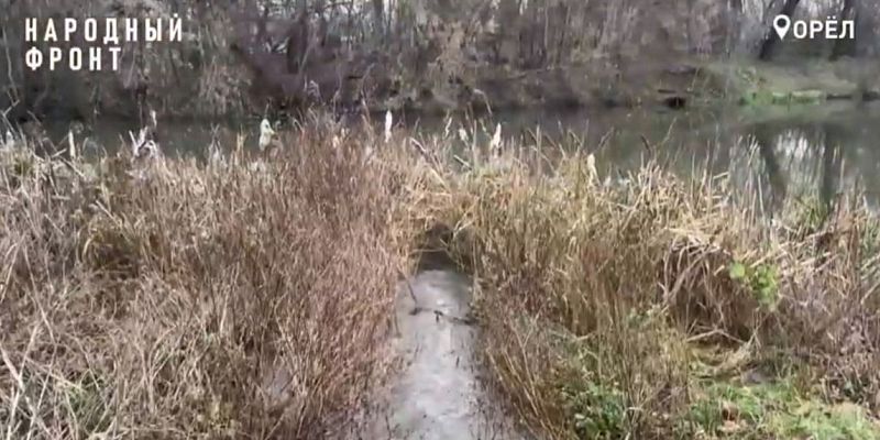 В Орле наказали лихачку, которая едва не сбила ребенка на пешеходном переходе