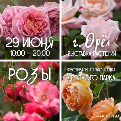 Цветов много не бывает 