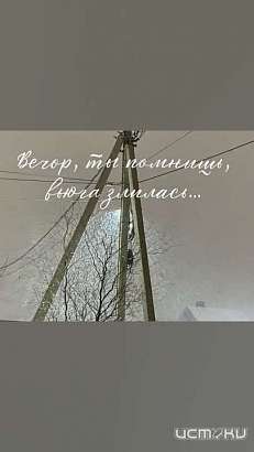 На Орловщине объявили штормовое предупреждение. Снегопад может продолжится и завтра