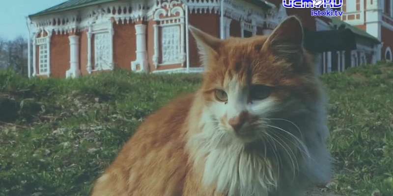 «Радуга над городом»: священник, методист ДК и работник почты показали старинный Болхов