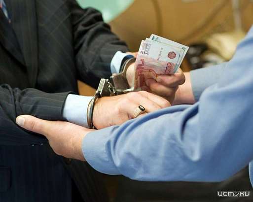 Предприниматель из Брянска заплатит почти полмиллиона рублей за попытку дать взятку орловскому полицейскому