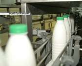 Новости за 90 секунд: закрытый молокозавод снова заработает с другими хозяевами, под Орлом нашли скотомогильник с сибирской язвой, очередное доказател...