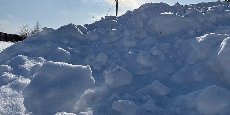 "Крик души" из деревни Ивановское Орловской области