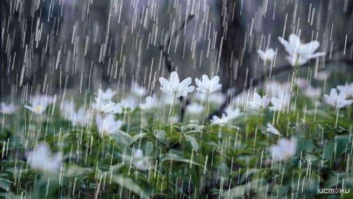 На Орловщине ожидаются грозы и град