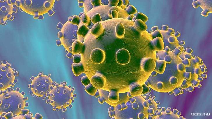 Только за неделю коронавирус подкосил еще 50 орловских семей