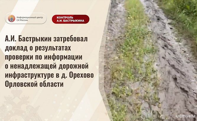 Туда не едете даже скорая: дело о дороге в орловской деревне дошло до Бастрыкина