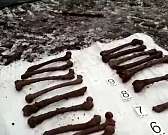 В Болхове на месте обнаружения человеческих костей работают следователи