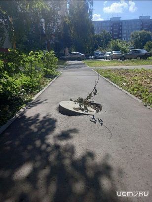 Опасность под ногами: в Орле у детского сада и площадки зияют открытые люки