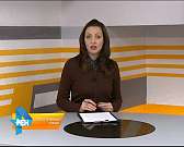 "Клумбы Вермишяна вне закона". Работы на Ленина ведутся без разрешения1491928876