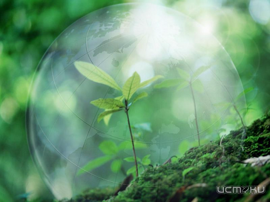 Библиотекари за чистоту города