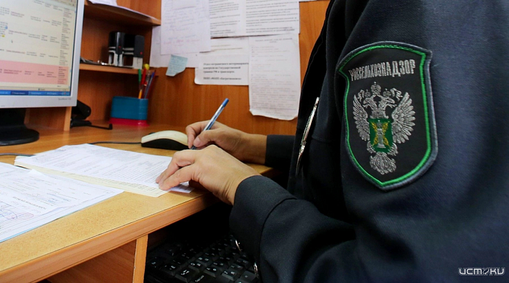 В Орловской области выявили многочисленные нарушения в сфере общепита