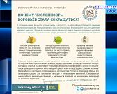 Довели до такого состояния, что Бастрыкин заинтересовался проблемой маленького фельдшерского пункта. Довели до такого состояния, что Бастрыкин заинтересовался проблемой маленького фельдшерского пункта.