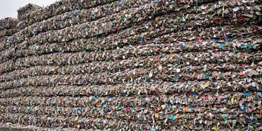 В ходе экоакции «БумБатл» клиенты и сотрудники Сбера передали на переработку 432 тонны макулатуры