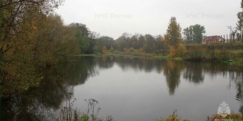 Во Мценском районе погибла пенсионерка, упавшая в пруд