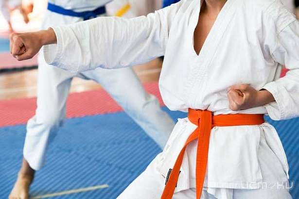 Орловские каратисты привезли три десятка медалей из Твери