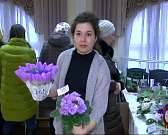 Выставка цветущих фиалок в зале библиотеки им. И.А. Бунина