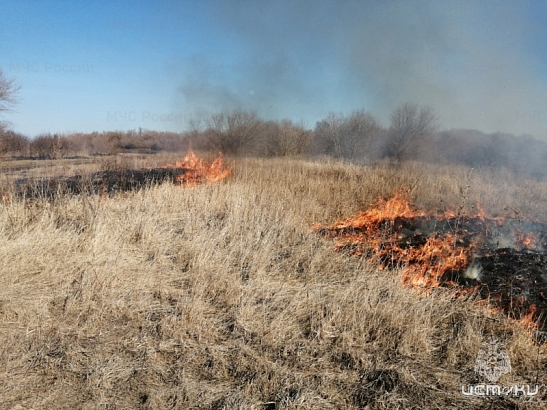 Орловские спасатели за выходные совершили 97 выездов 