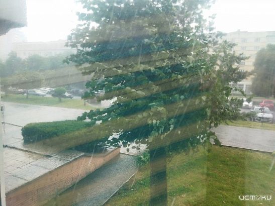 Жителей Орловской области предупреждают о грозах и сильном ветре