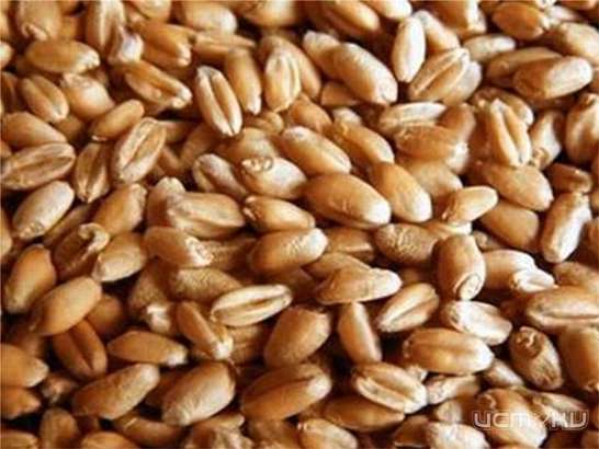 За неисполнение предписания КФХ «Зарница» заплатит штраф