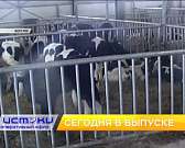 Распиаренный псевдо-ремонт моста на Светлую жизнь, пожарные спасли от огня квартиру и ее пушистого жителя, Росгвардия рассказала о новом законе об ору...