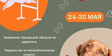 аджилити Собачьи выходные. В поселке Надежда проходят состязания для четвероногих друзей