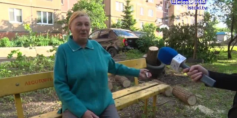 Деревья или парковка: камень преткновения одного двора