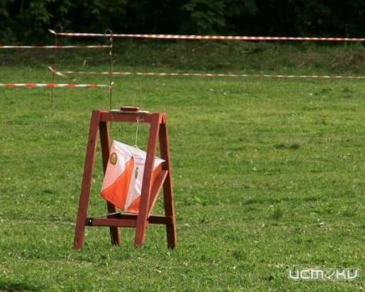 Завтра орловские ориентировщики проведут праздничные соревнования