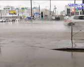 В Орле на ул. Ломоносова выкопали недавно посаженные деревья ради прокладки кабеля, орловчане показали, как идёт реконструкция аэропорта "Южный", а ли...