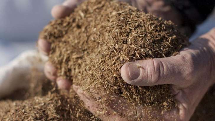 В 2021 году на Орловщине собираются запустить новое производство кормовых добавок