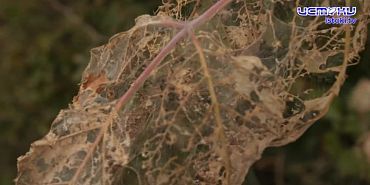 Экспертное мнение 08.10.2025