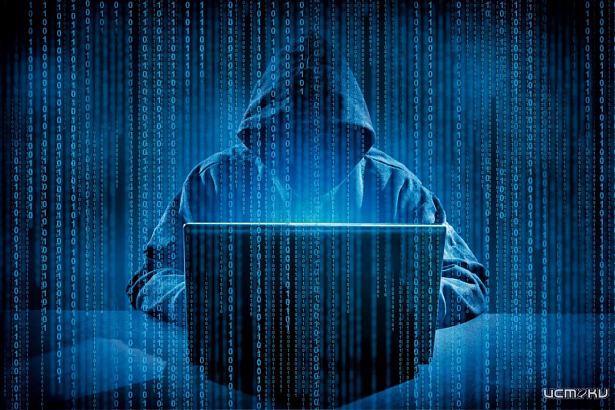 Орловский районный суд вынес приговор за использование вредоносной программы