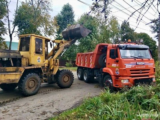 Ураганный ветер повалил деревья на семи улицах Орла — "Спецавтобаза" устраняет последствия